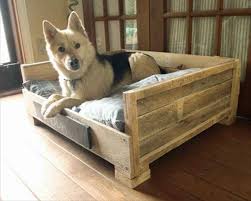 Bei palettenmöbeln denken alle gleich an upcycling und nachhaltiger wiederverwertung. Diy Holz Hundebetten Aus Europaletten