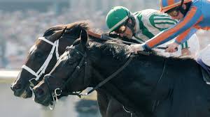 Top 12 Breeders Cup Thrillers At Santa Anita America S Best Racing Johar horse page with past performances, results, pedigree, photos and videos. breeders cup thrillers at santa anita