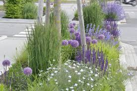 Gut Kombiniert Gartenzauber Ziergarten Garten Stauden