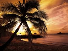 Download wallpaper pemandangan dengan kualitas hd 1080px background pemandangan alam terindah di dunia gambar pemandangan tercantik gratis download the best nature wallpaper in the world. 87 Gambar Alam Sunset Hd Gambar Pixabay
