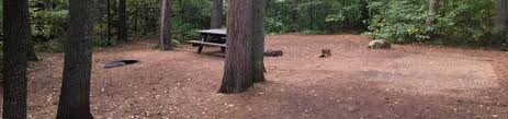 Travel about 2 miles to whitefish lake road. Site 036 Sawbill Lake Campground Superior National Forest Recreation Gov