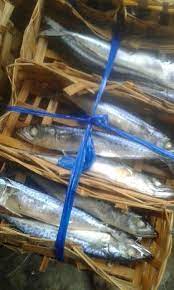 Kembung termasuk ikan pelagis kecil yang memiliki nilai ekonomis menengah, sehingga terhitung sebagai komoditas yang cukup penting bagi nelayan lokal. Pindang Layang Dan Salem About Facebook