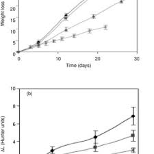 Pdf Influence Of Composition And Process Conditions On Microstructure Of Amorphous Starch Protein Powders