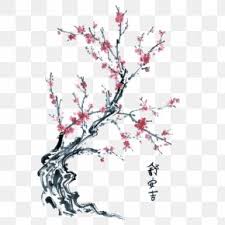 (230) £9.95 free uk delivery. Pink Plum Blossom Images Pink Plum Blossom Transparent Png Free Download
