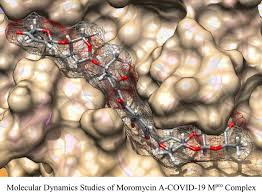 Dock8 (dedicator of cytokinesis 8), also known as zir3, is a large (~190 kda) protein involved in intracellular signalling networks. Investigation Of Angucycline Compounds As Potential Drug Candidates Against Sars Cov 2 Main Protease Using Docking And Molecular Dynamic Approaches Springerlink