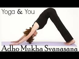 6 Basic Yoga Poses That Will Help You Combat Irregular Periods Yoga For Beginners Yoga Asanas Basic Yoga