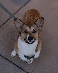 Jonathan Crossman (@positively_jcrossman) • Instagram photos and videos