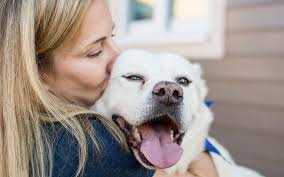 4874 s atlanta rd se smyrna, ga. Jewish Pet Rescuers Find A Heartfelt Calling Atlanta Jewish Times