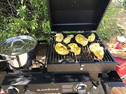 Then use the direct burner to cook with dutch ovens, stock pots, and. Blackstone Tailgater Portable Gas Grill And Griddle Combo Amazon Ae Patio Lawn Garden