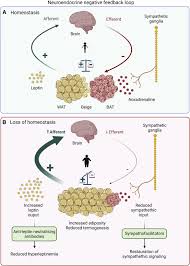 Image result for Beige 1977 Caloric
