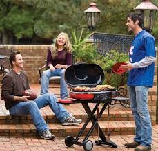 We did not find results for: 7 Best Portable Grills For Camping Gas Charcoal Weber Kitchen Guru