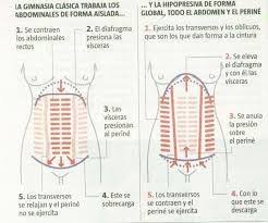 Resultado De Imagen De Tabla Abdominales Hipopresivos Ejercicios Abdominales Ejercicios De Elasticidad