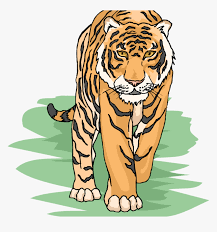 Pin amazing png images that you like. Free Tiger Clipart Cool Tiger Clipart Hd Png Download Transparent Png Image Pngitem