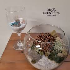 I've always loved plants and terrariums are a great way to have your own private eden in your home. Air Plant Terrarium Planter In Kelowna Bc Burnett S Florist