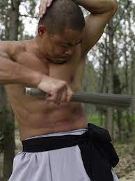 Iron bone training powder includes herbs that direct the formula to the upper part of the body, and outward towards the extremities. Iron Body Training Techniques Shifu Yan Lei