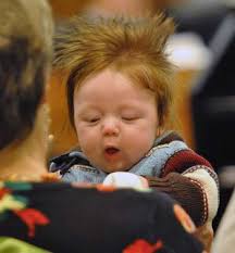 The Ann Arbor Chronicle