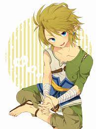 Image of rito yuki dark link art the legend of zelda png clipart. Link Twilight Princess Zelda No Densetsu Twilight Princess Image 988849 Zerochan Anime Image Board