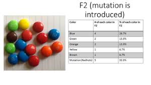 Dna mutations practice answer key worksheets printable dna mutation simulation the biology corner showing top 8 worksheets in the category dna mutations practice answer key some of. Seventh Grade Lesson Exploring Mutations Lab Betterlesson