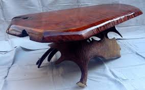 Moose Antler Coffee Table W Antique Zebra Wood By Uniquealwaysllc 3499 00 Coffee Table Woodworking Coffee Table Zebra Wood