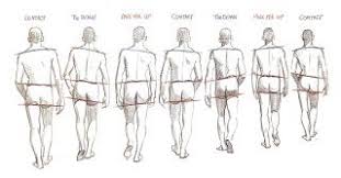 Cat walk cycle by taravia on deviantart. Walk Cycle From The Back View Walking Poses Animation Reference Drawing Poses