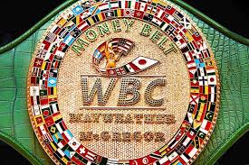 Floyd mayweather — vigrodionga 00:51. Fight Of The Century Victor Floyd Mayweather Jr Earns Priceless Money Belt Encrusted With 4 260 Gems The Jeweler Blog