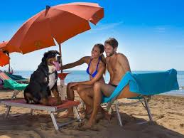 Monolocali fronte mare a bibione spiaggia, bilocali a lido del sole e villette a bibione pineda. Case Vacanze Per Cani Bibione Residence E Appartamenti Che Accettano Animali A Bibione