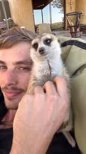 Sadie's Page Group For Animal Lovers