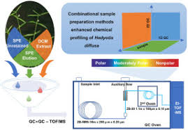 Image result for Euclasta condylotricha