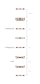 Gymnastikreihe 1 C Equisense Richtig Reiten Pferdetipps Springreiten