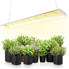 Check spelling or type a new query. Amazon Com Spider Farmer Sf 600 Led Grow Light 2x4 Ft Coverage Sunlike Full Spectrum Plant Growing Lamp For Indoor Plants Hydroponics Seeding Veg Flower Energy Saving High Efficiency Grow Lights 384