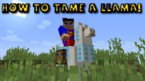 These speeds assume that the form of transportation is not under the effect of the speed or slowness status effects if they can be. How To Ride And Tame A Llama In Minecraft 1 12 2 Youtube