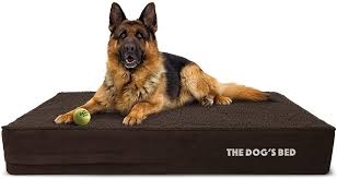 Check spelling or type a new query. The Best Dog Bed Reviews Pet Toy Uk 2021