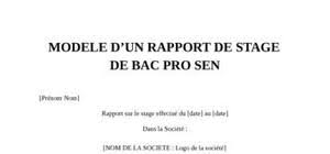 Sep 17, 2018 · les informations sur lettre de demande de mise à disposition que l'administrateur peut collecter. Rapport De Stage Bac Pro Vente