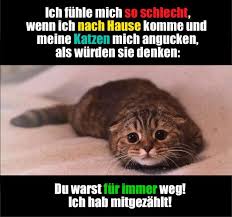 Heute ist weltkatzentag und ich möchte die gelegenheit nutzen, einmal den katzen danke zu sagen, welche mich in meinem leben begleitet haben. Cool Witzig Knuddelig Praktisch Oder Einfach Nur Inspirierend Katzen Susse Tiere Katze Lustig