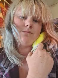 Malamute dog stealing food from owner