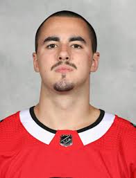 Nathan Noel recalled to AHL