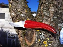 Le Bixia La Folie Des Couteaux Couteau Piment Espelette Basque