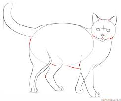 Instreamset:drawing tutorial &.asp?cat= / 10 latest disney world castle wallpaper full hd 1080p for. How To Draw A Realistic Cat Step By Step Drawing Tutorials For Kids And Beginners Cat Drawing Tutorial Realistic Drawings Drawing Tutorial