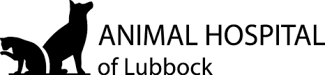 Maybe you would like to learn more about one of these? Veterinary Care In Lubbock Tx Animal Hospital Of Lubbock