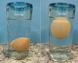 Purchased eggs need to be stored in a different way you can also use it to check up on what's happening at home when you are not there. How To Tell If Eggs Are Good Or Bad Freshness Test