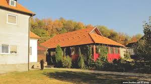 Godine spomenikom kulture od izuzetnog značaja, te je tom prilikom stavljen pod zaštitu republike srbije, čini se da je manastir petkovicana fruškoj gori zaista oživeo tek sa dolaskom mati antonine, koja se i danas nalazi na njegovom čelu. Petkovica Monastery Monasteries Locations Fruska Gora Serbia