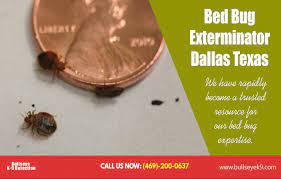 Make sure they follow the procedures. Bed Bug Exterminator Dallas Cost Find Low Rate Treatments With Bed Bug By Bed Bug Treatment Medium