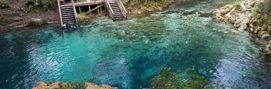 The new zealand spring where water takes up to 100 years to filter through the ground and emerges the purest on earth. Madison Blue Spring Swimming Diving Snorkeling Florida Hikes