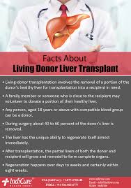 Here Are Some Facts On Living Donor Liver Transplantation Organ Transplant Liver Healthy Liver