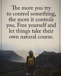 If you're creating funny captions, feel free to use puns to add a sense of playfulness to your post. 70 Best Free Spirit Quotes Ideas Quotes Free Spirit Quotes Spirit Quotes