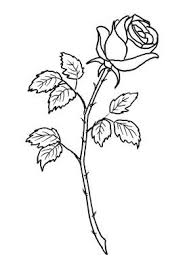 Pin By Ricky Monteon On Tattoos And Gauges Single Rose Tattoos Flower Outline Tattoo Rose Tattoo Stencil