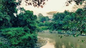 The river forest ingots took on the bishop noll warriors on january 11, 2019. Aly Khan Satchu On Twitter The River And The Forest Were Like Presences And Much More Powerful Than You You Felt Unprotected An Intruder You Felt The Land Taking You Back To