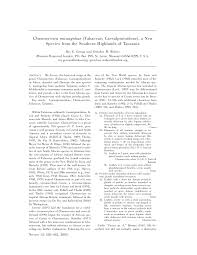 Image result for Chamaecrista fenarolii