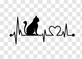 Check spelling or type a new query. Ø¬Ø§ÙØ¨ Ø±ÙØ¶ Ø¹Ø¬Ø² ØµÙØ± ØºÙØ§Ù ÙÙÙÙØ³ Ø¬ÙÙÙØ© Relativsimple Com