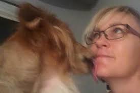 Fundraiser by Robin Colton : Zags wants to Keep Living!